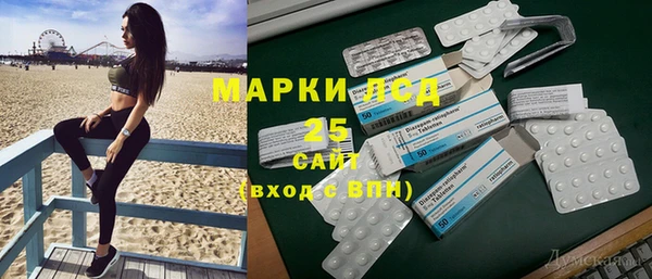 винт Лагань