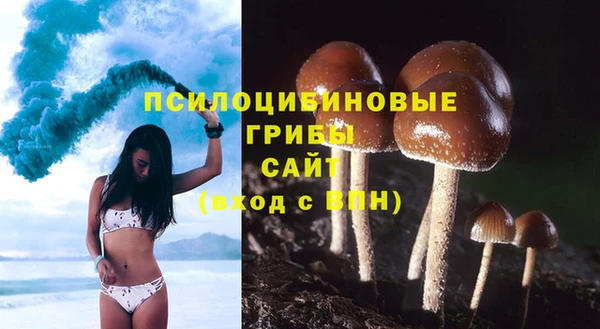 мескалин Ладушкин