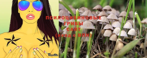 винт Лагань