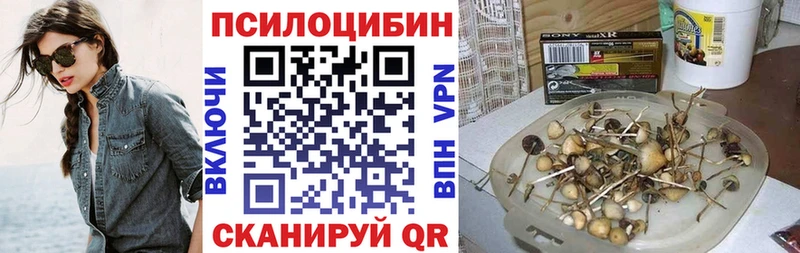 Галлюциногенные грибы мицелий  Сасово 